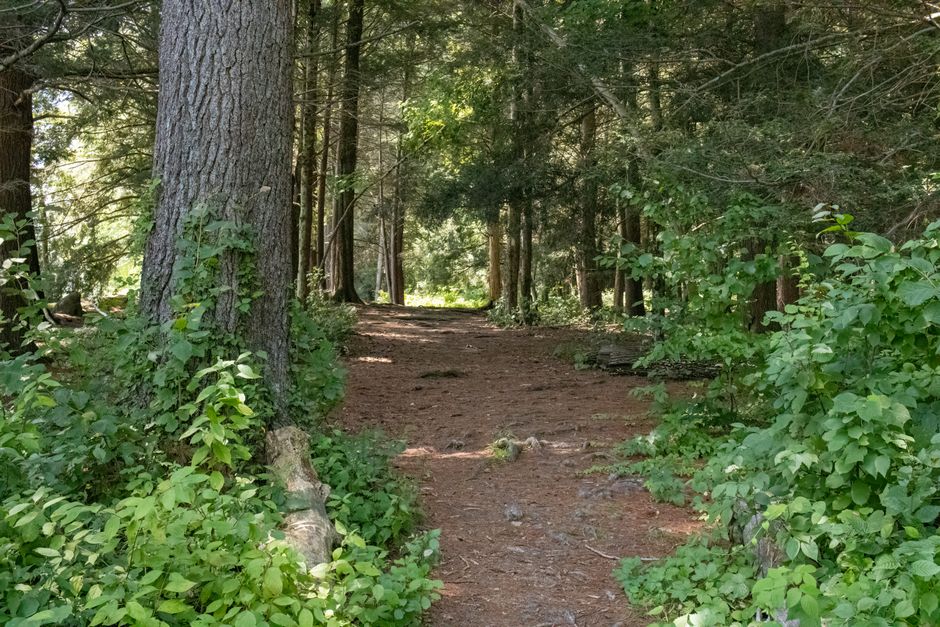 Caring For Your Overall Health: Making It Part of Your Day