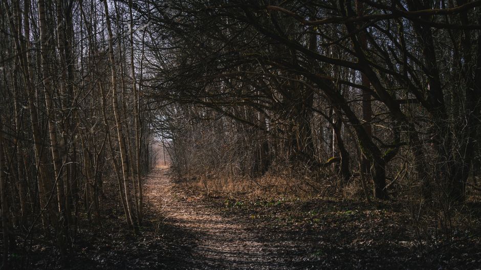 Small Lifestyle Changes That Matter: A Simple, Practical Guide